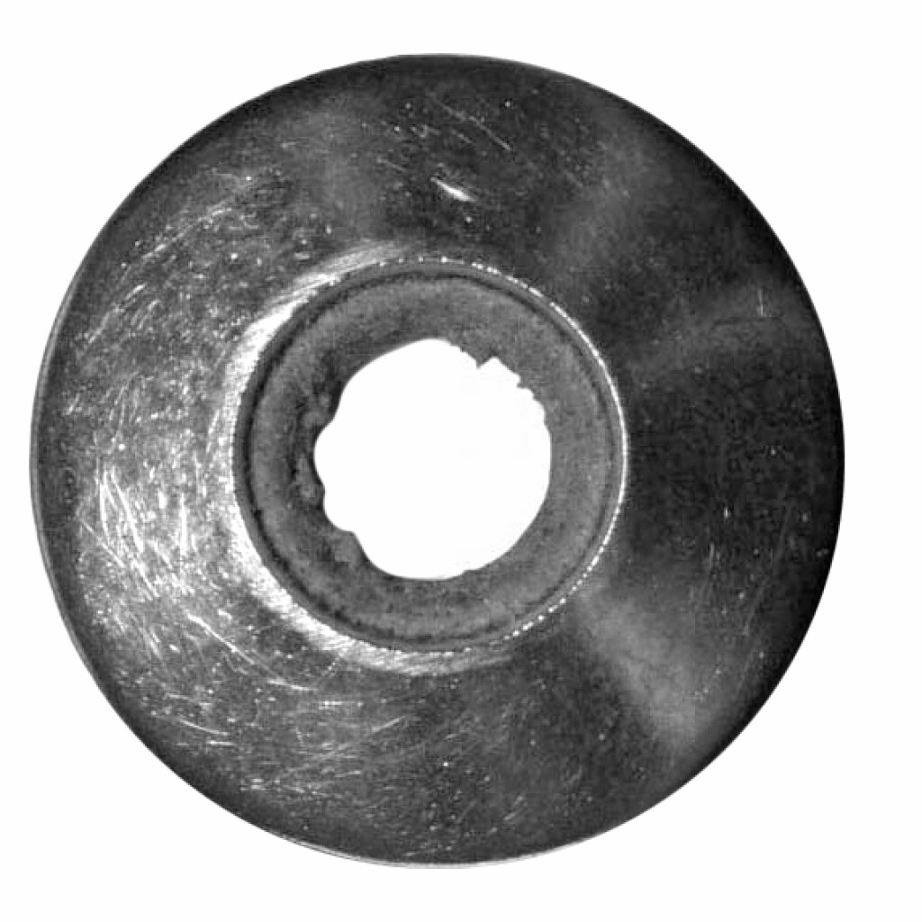 FBS-Dichtscheibe  22 x 6,7 x 1   A2