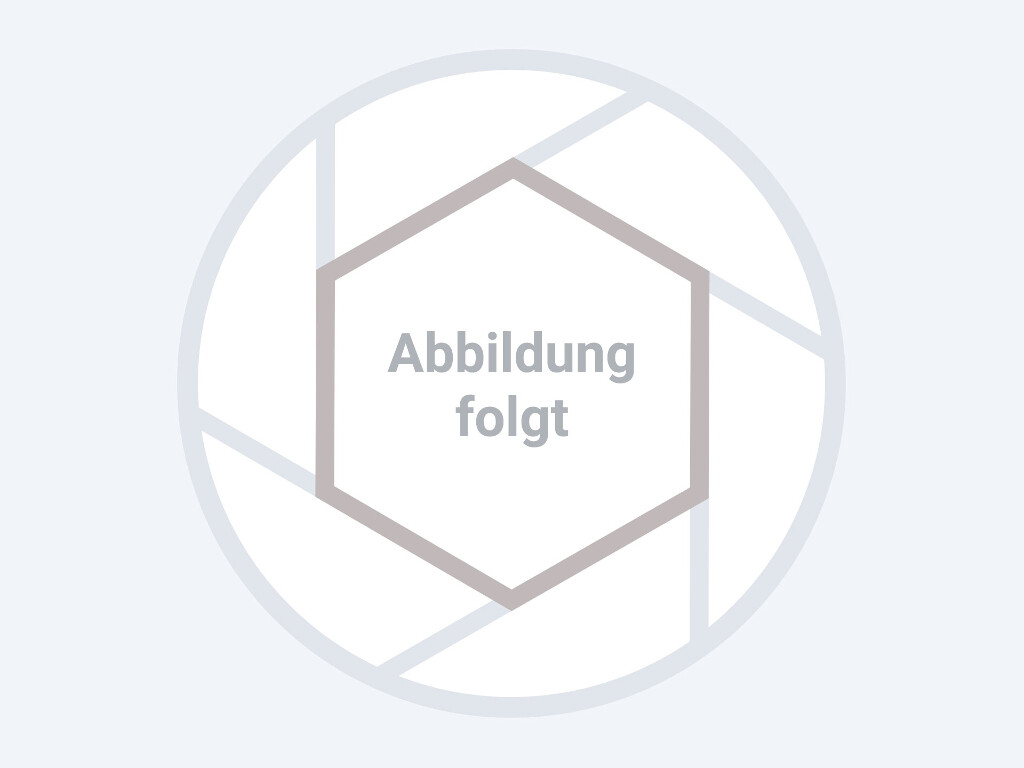 ISO 14581  M  3  x 12  A2  Tx10 Vollgewinde